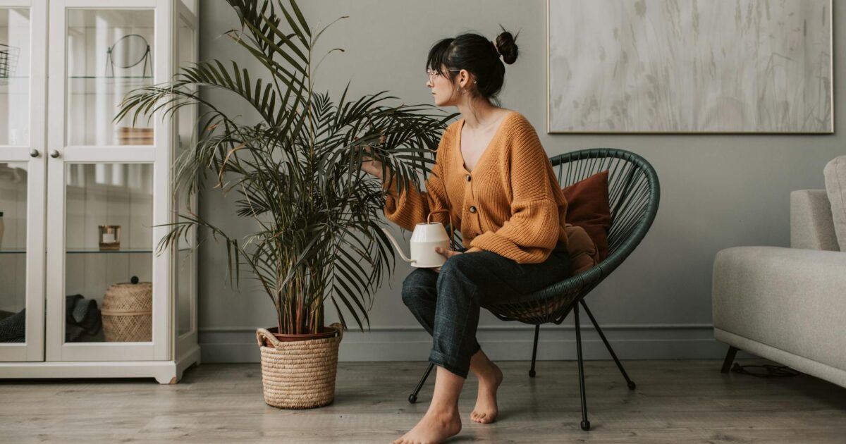 3 plantes d’intérieur qui améliorent l’équilibre émotionnel
