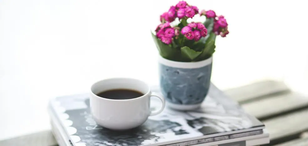 Kalanchoe, la plante à fleurs la plus résistante qui ne meurt pas en été