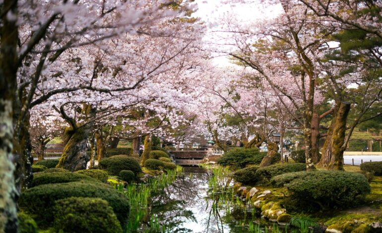 Pourquoi Kanazawa est l’une des meilleures étapes si vous allez au Japon