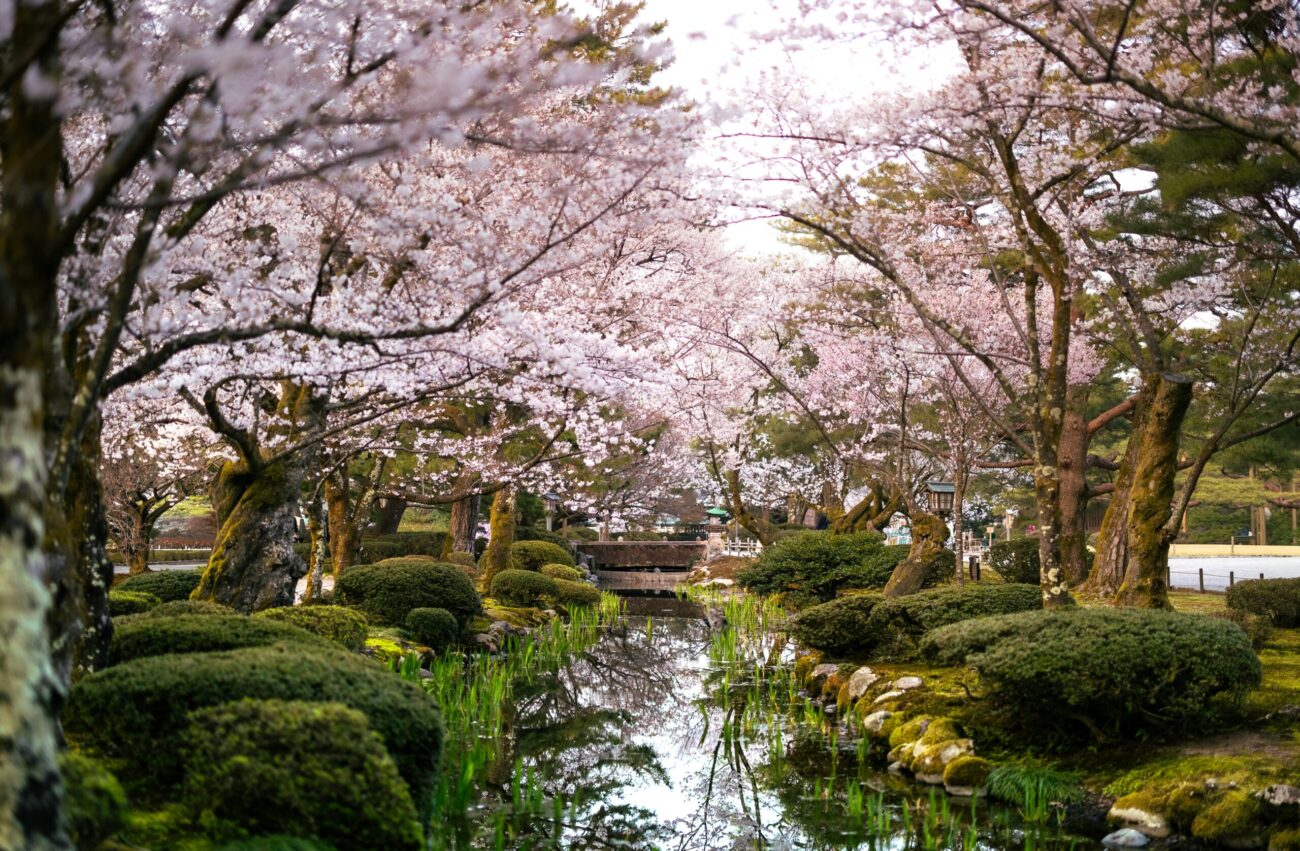 Pourquoi Kanazawa est l’une des meilleures étapes si vous allez au Japon