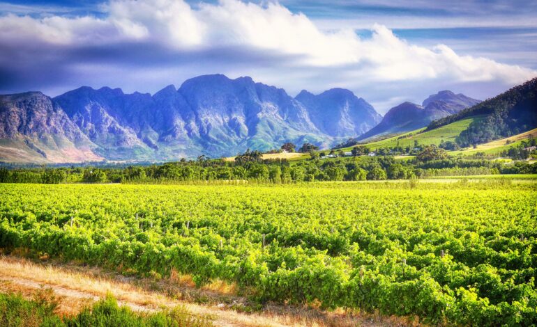 Stellenbosch : safaris, vin et hôtels sympas dans une destination africaine