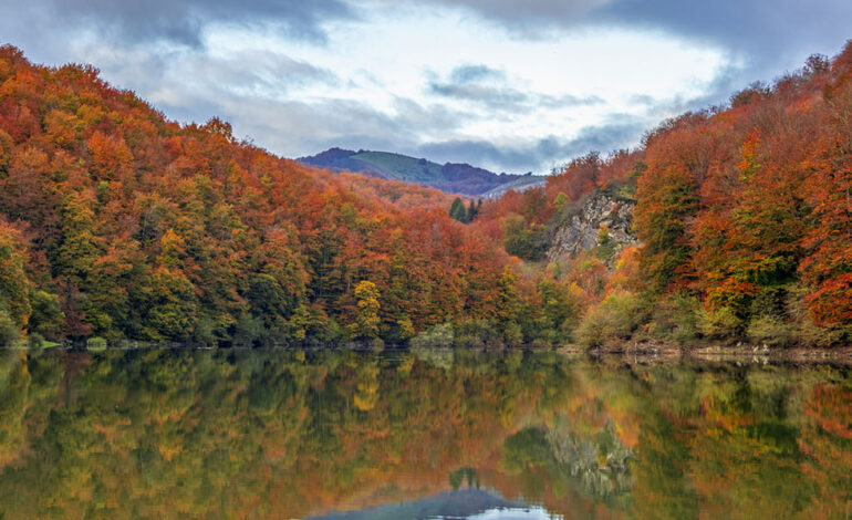 La forêt d'Espagne qu'il faut visiter cet automne