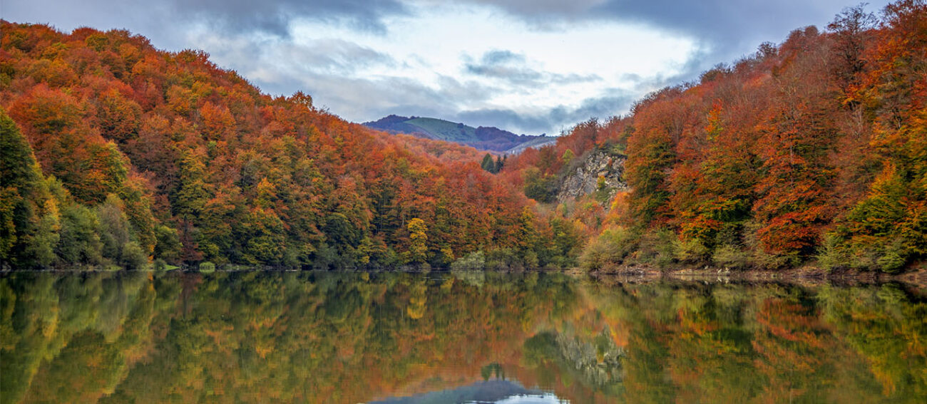 La forêt d’Espagne qu’il faut visiter cet automne
